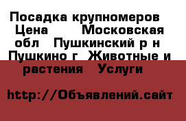 Посадка крупномеров › Цена ­ 1 - Московская обл., Пушкинский р-н, Пушкино г. Животные и растения » Услуги   